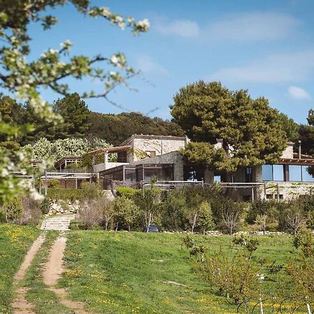 Masseria Agriturismo Torre Di Albidona Trebisacce Kültér fotó