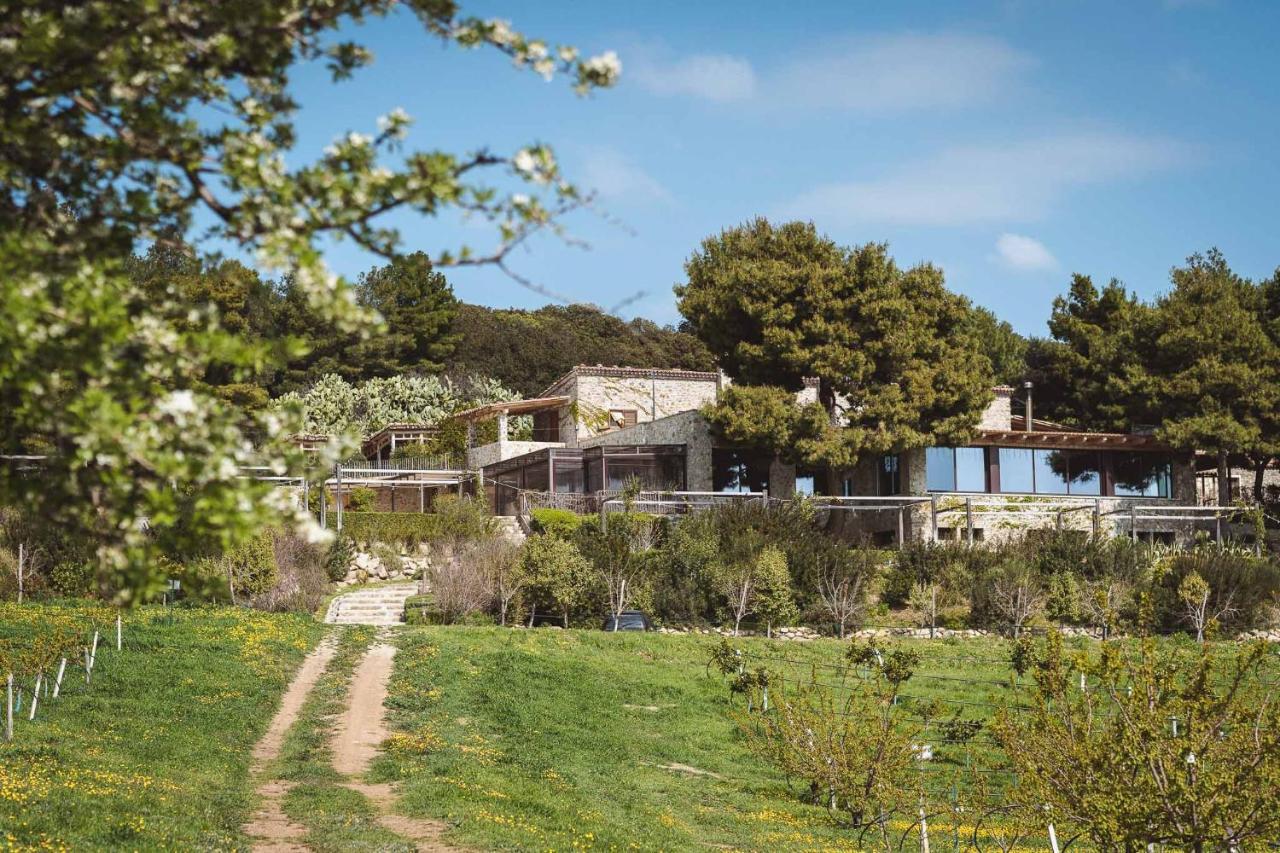 Masseria Agriturismo Torre Di Albidona Trebisacce Kültér fotó