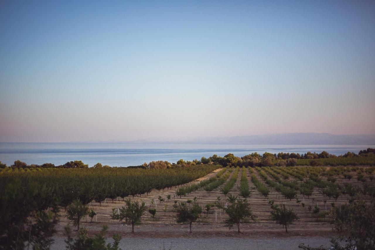 Masseria Agriturismo Torre Di Albidona Trebisacce Kültér fotó