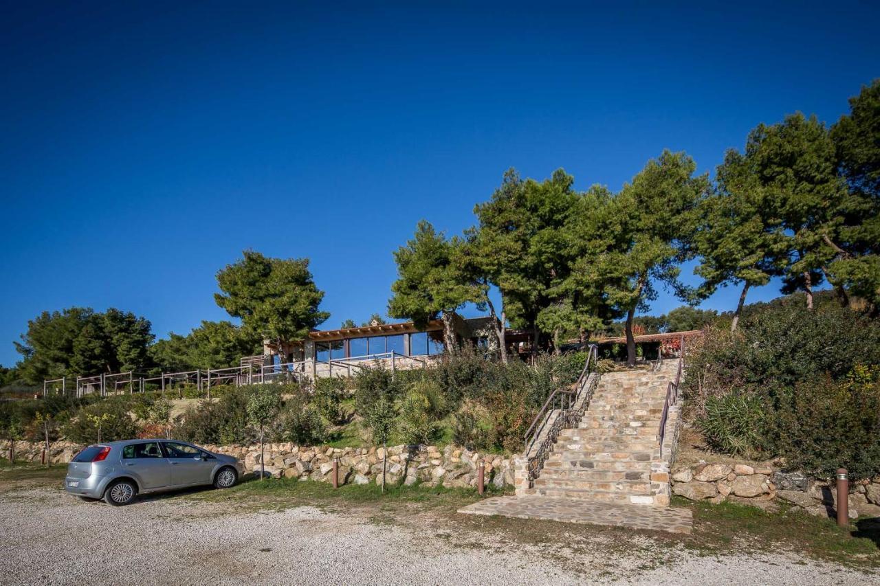 Masseria Agriturismo Torre Di Albidona Trebisacce Kültér fotó